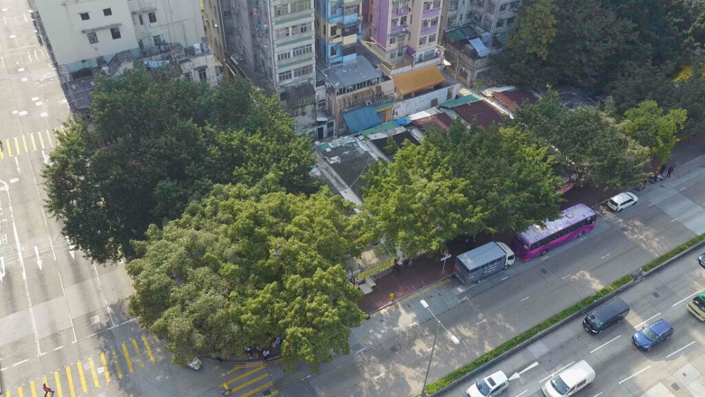 《風吹布動》劇照