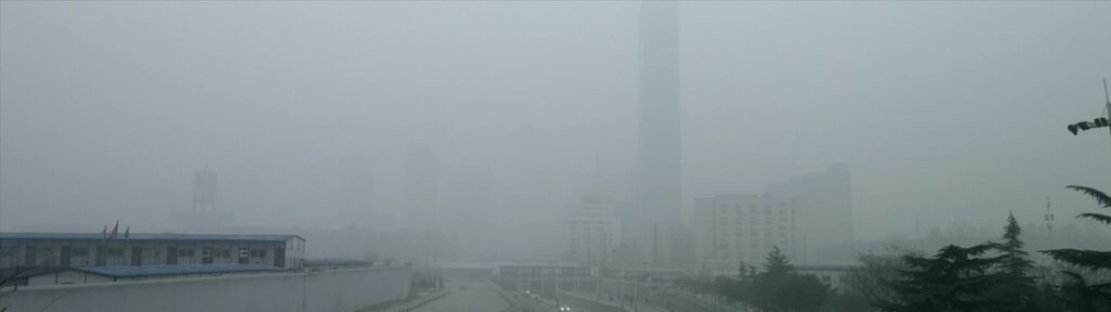 《霧中鳥巢》劇照