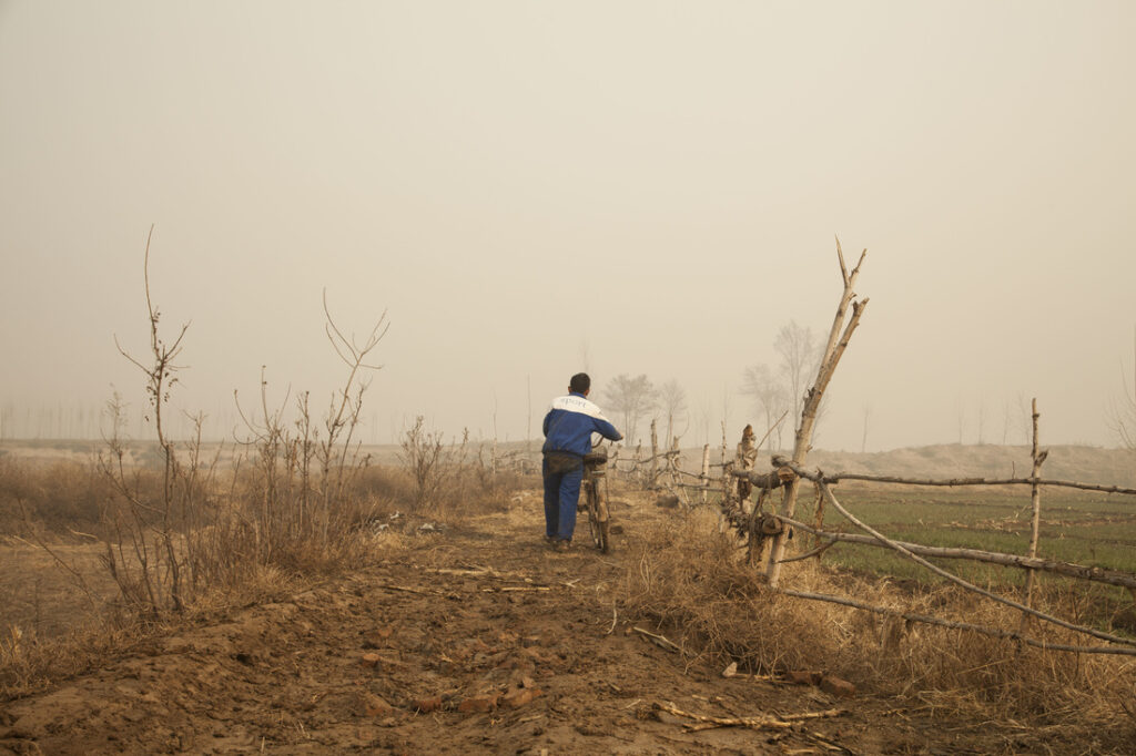 《野孩子》劇照