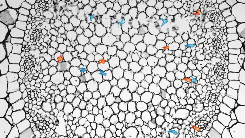 《永夜球場》劇照
