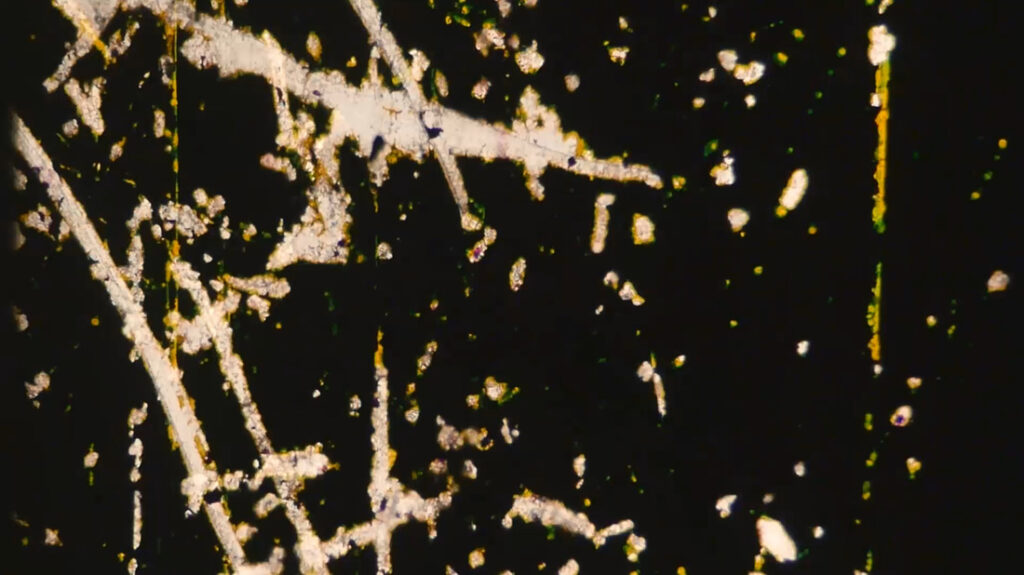 《斷片 II - 記憶》劇照