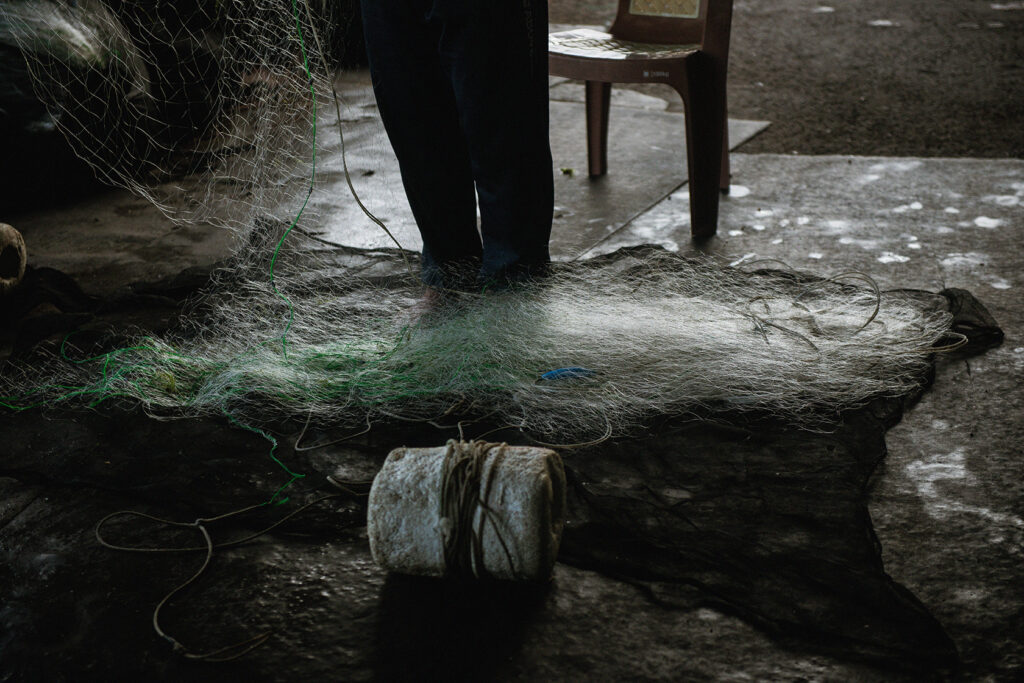 Blowing In The Wind_Still2