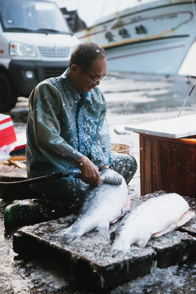 Blowing In The Wind_Still4