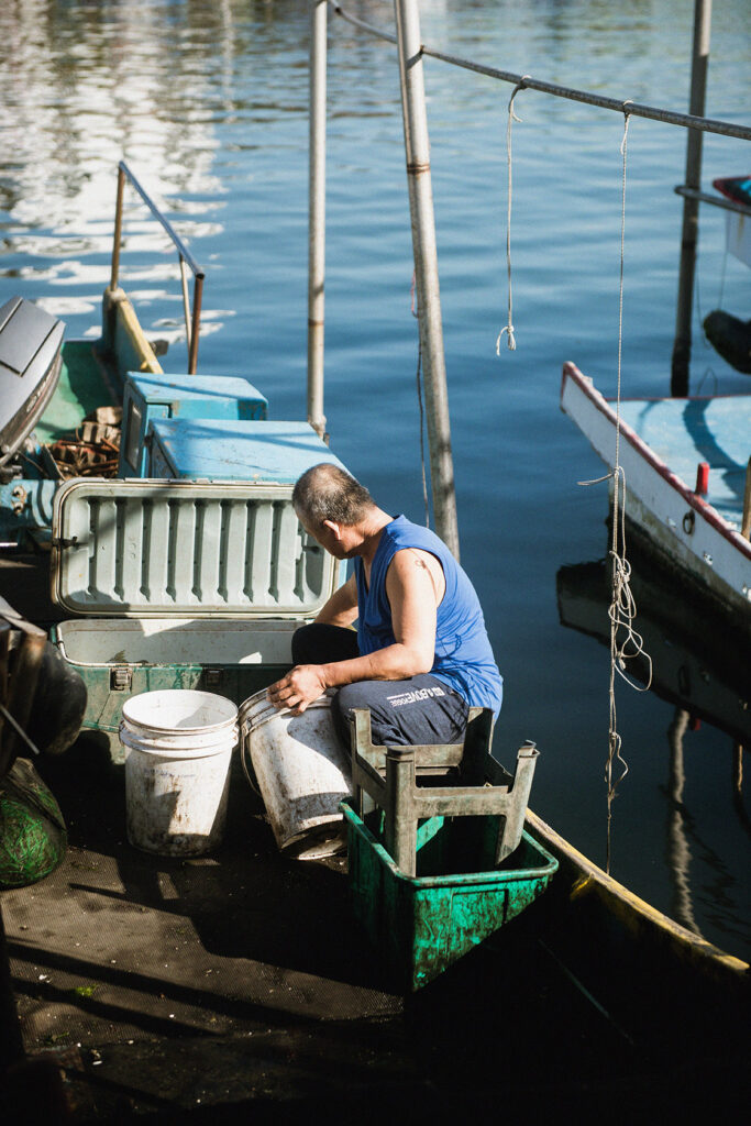 Blowing In The Wind_Still6