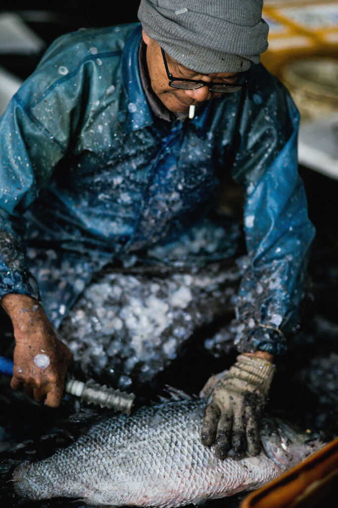 Blowing In The Wind_Still7