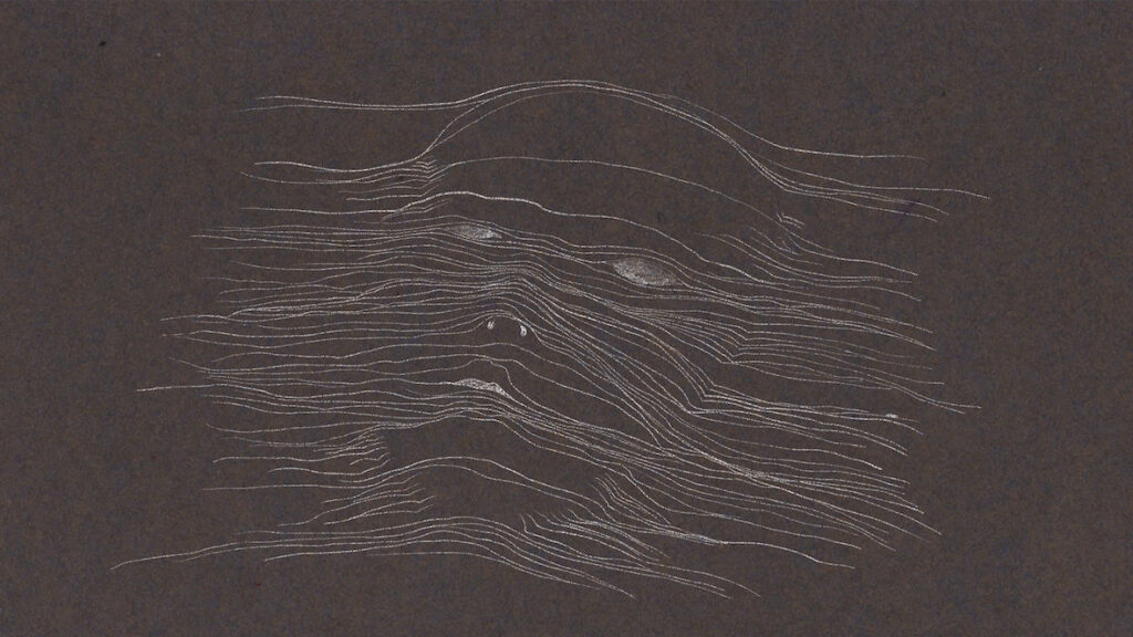 Extravagantly Ordinary Night_still_c