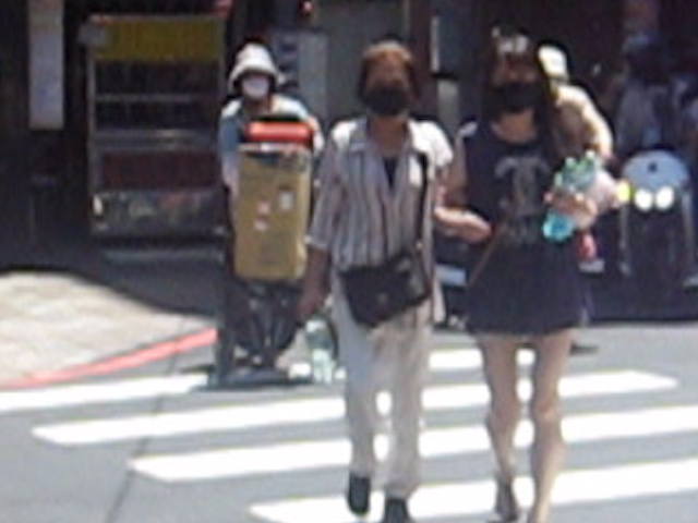 Family Photo,Moving,Tomb Sweeping,Picking Mangoes,Going Home_Still1