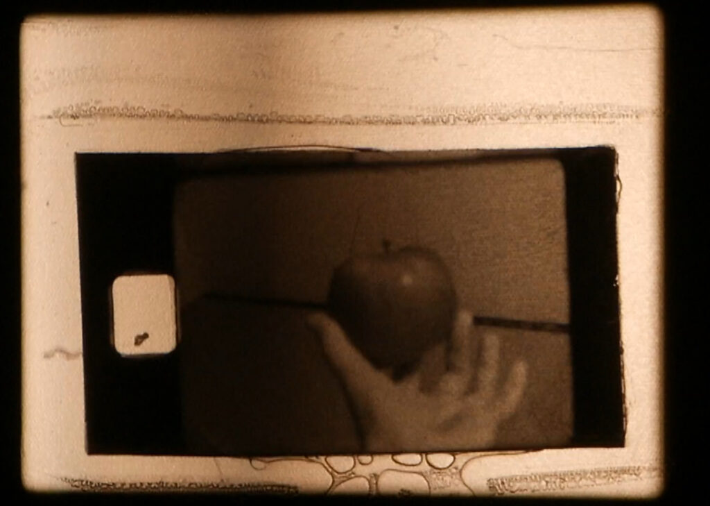 Flight and Frame_still_a