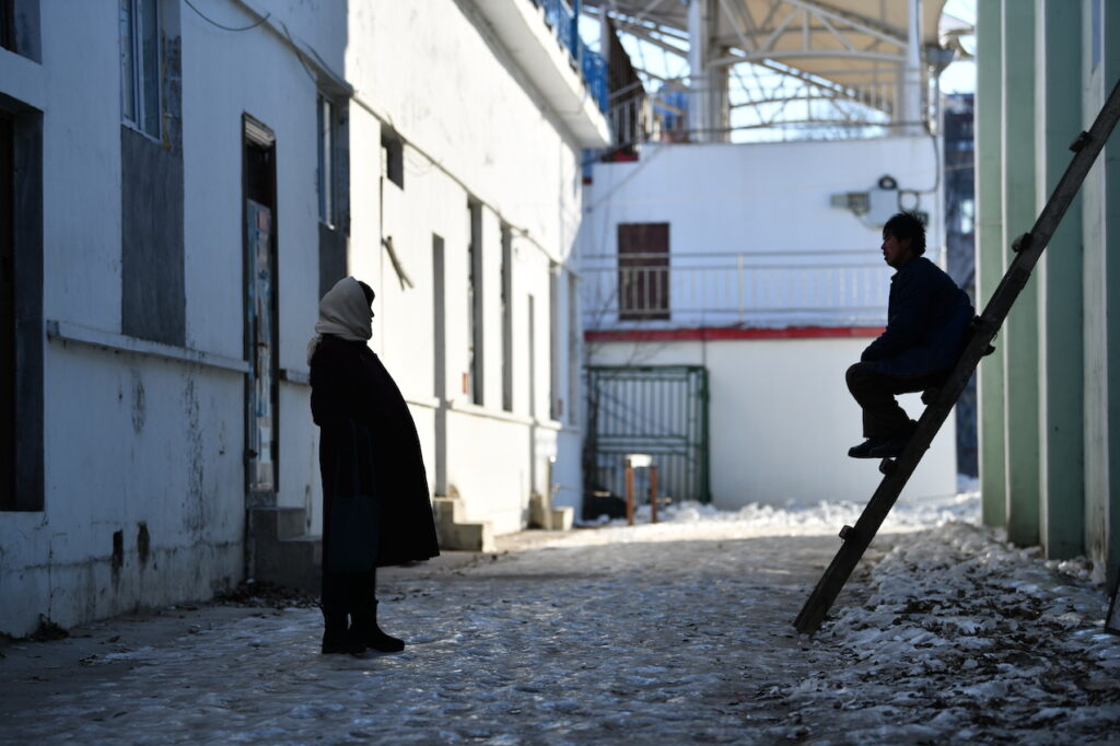 Manchurian Tiger_still_d