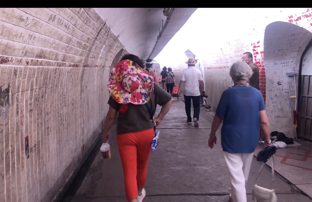 The Sea, the Bougainvillea, and the Poet Shu Ting_Still4