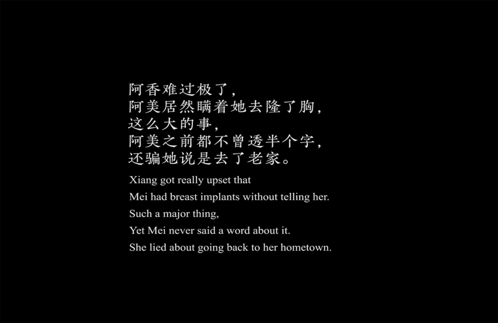 The Sea, the Bougainvillea, and the Poet Shu Ting_Still5