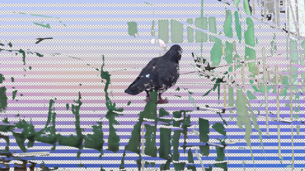 Tugging Diary_still_d