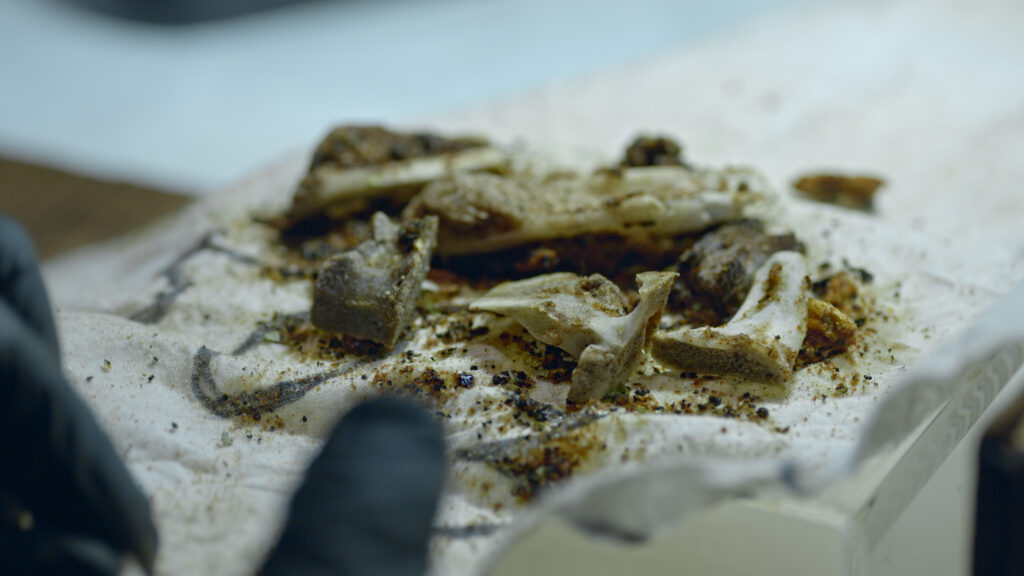 From Island to Island_Still1