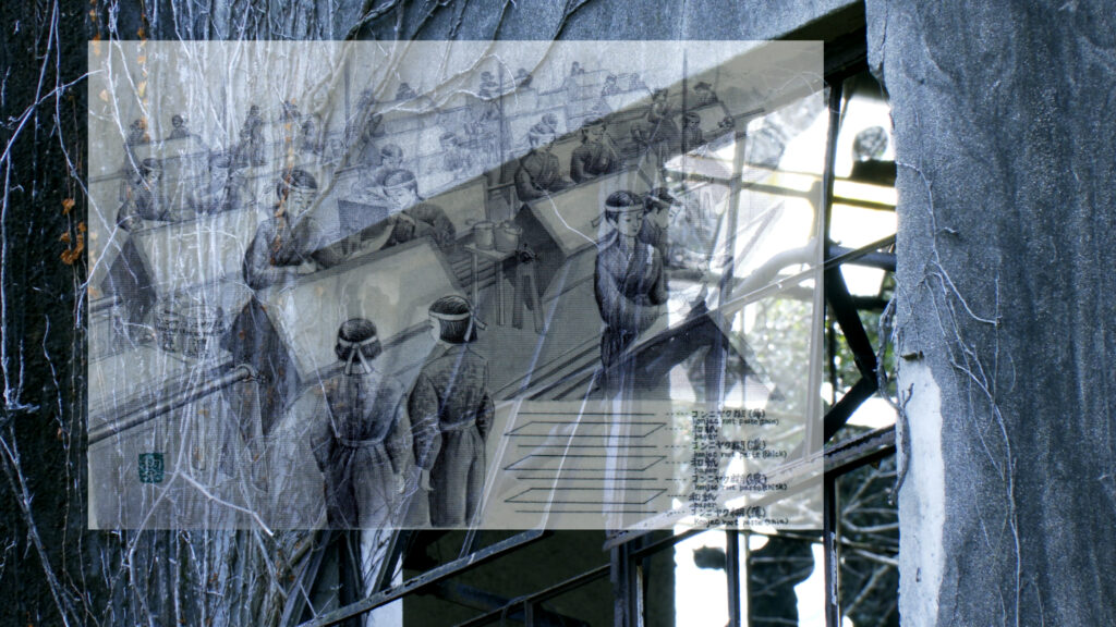 From Island to Island_Still4