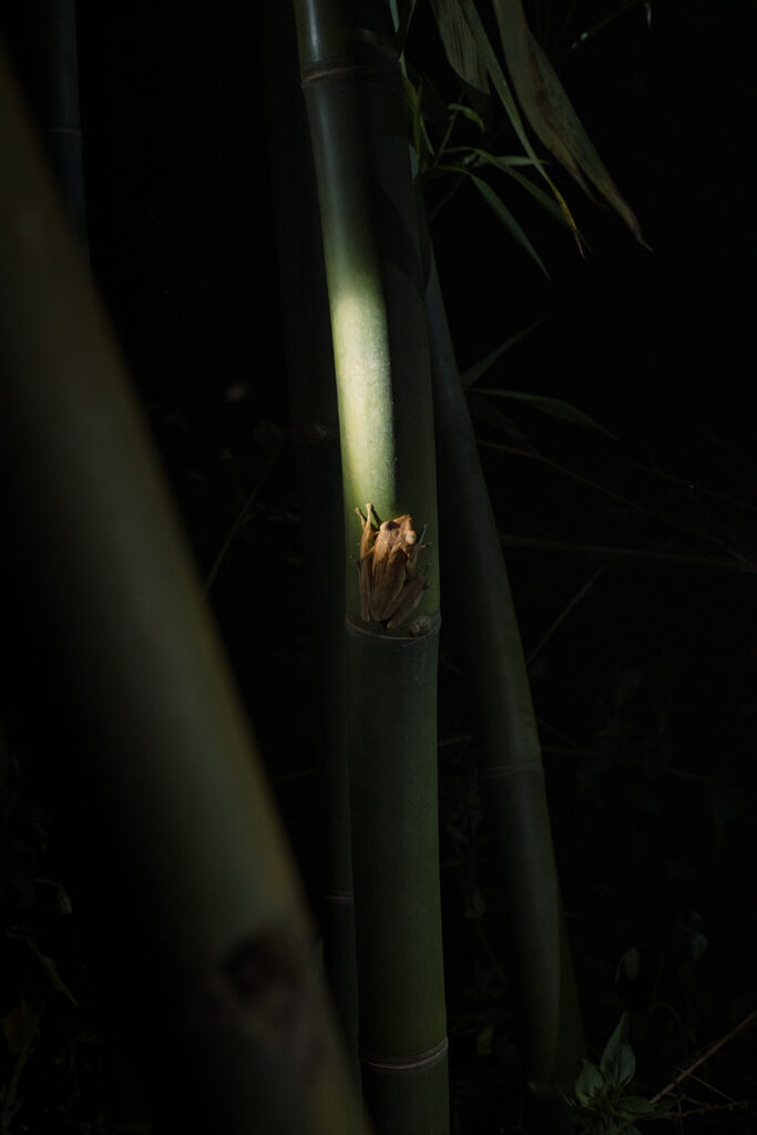 The Elimination_Still4