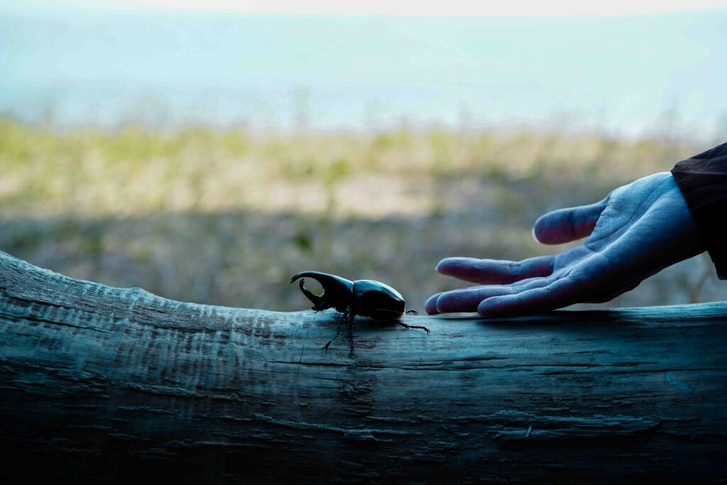 Copy of 來世_stills_DSC04594