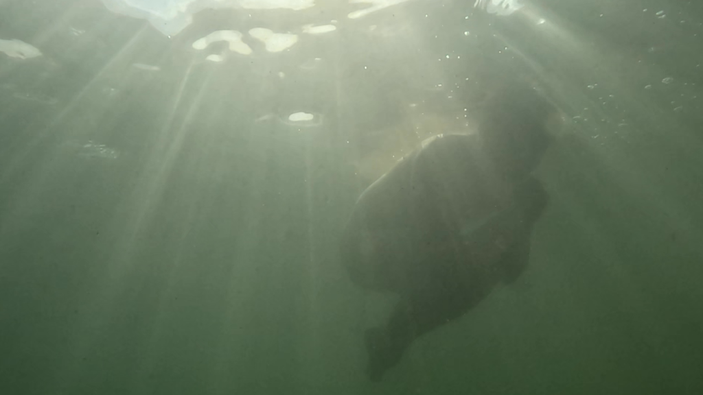 In Your Shoes_Still 01