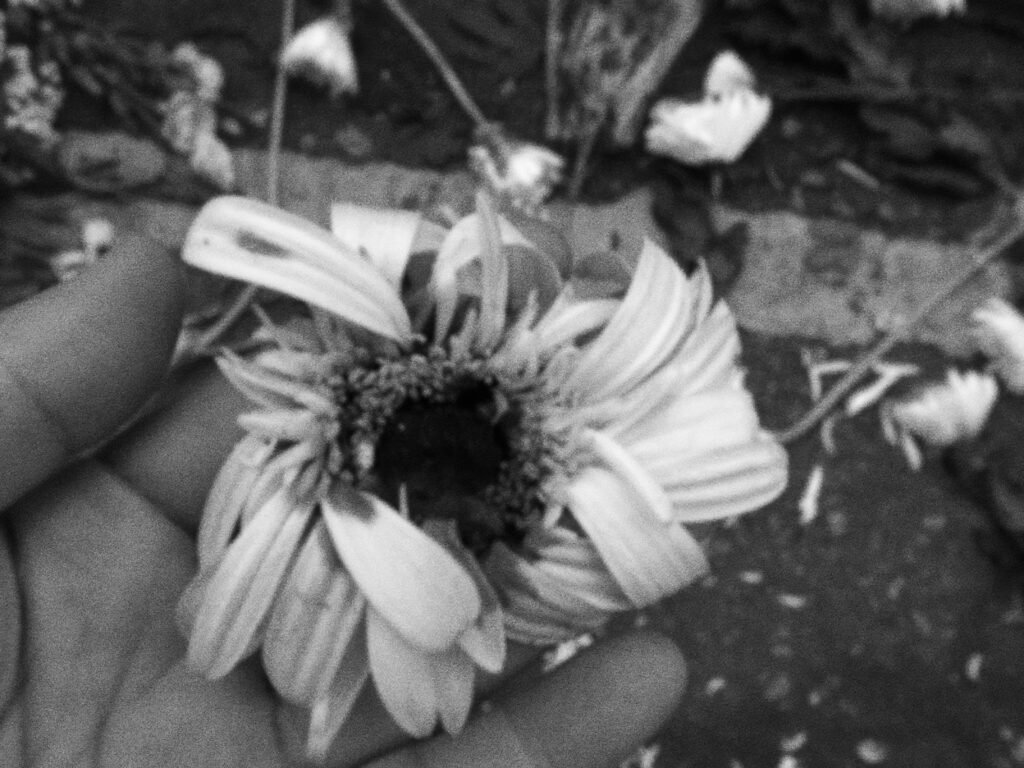 Map_filmstill001