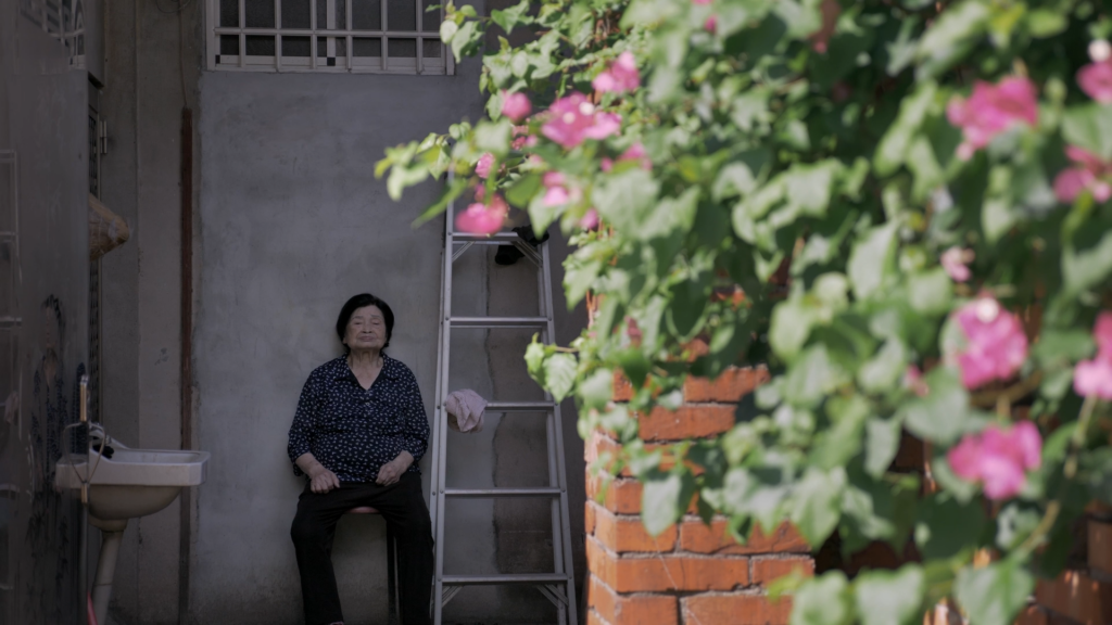 屋舍上的葉仔花_劇照2