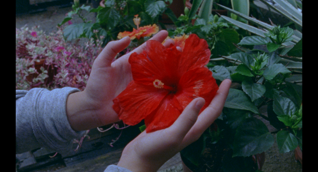 HOTF_Still001