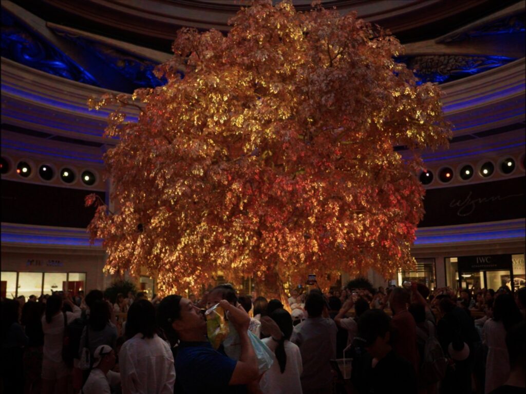Still 7
