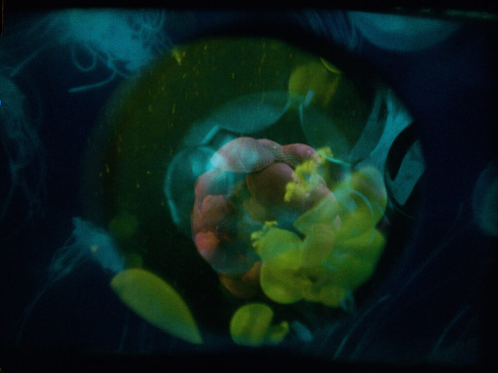 The Silence of Sirens_Tzuan Wu_still01
