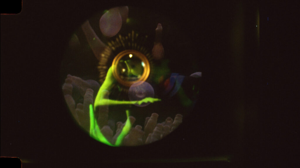 siren still2