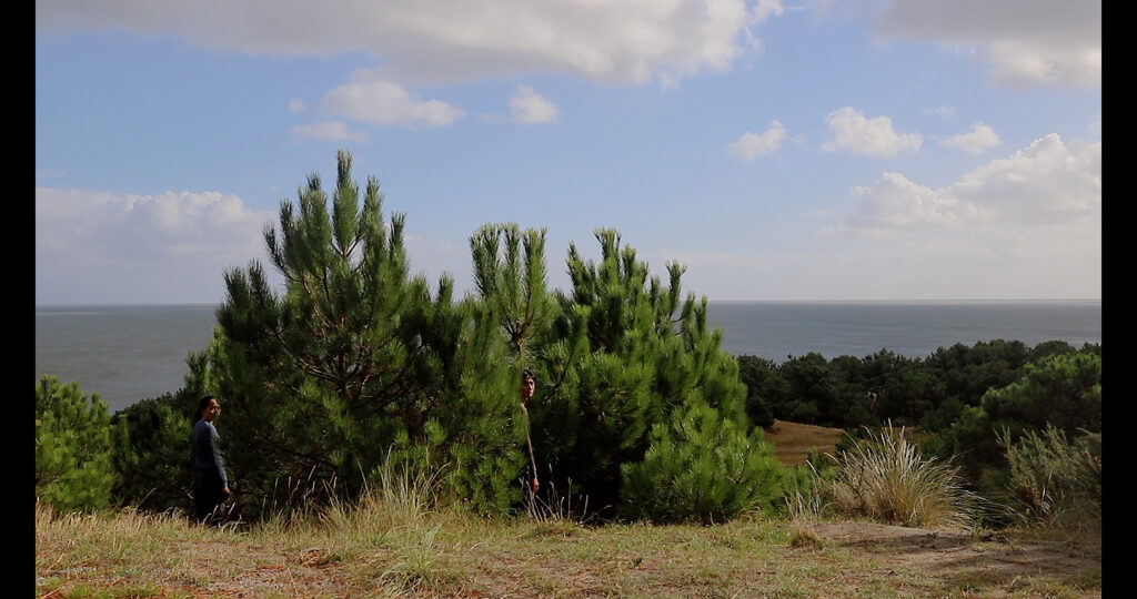 still3