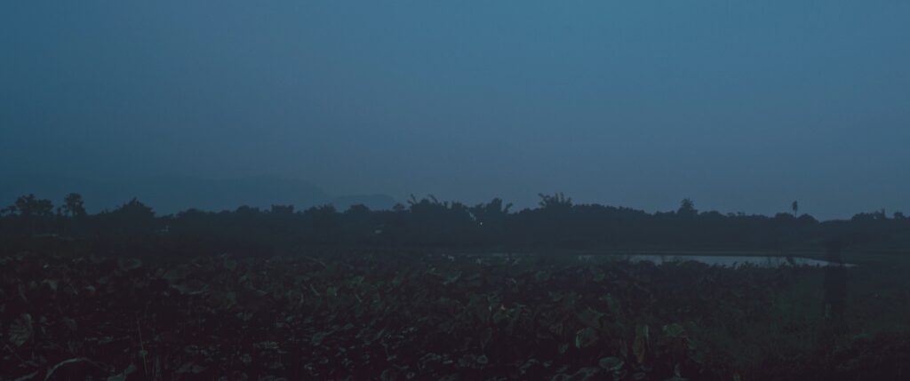 撿骨still 01jpg